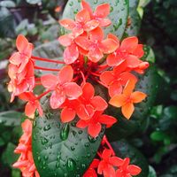 Vinoth Krish的照片