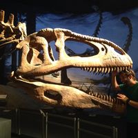 Benjamin Carrey's Photo