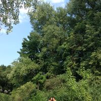 Carmen Aichelin's Photo