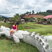 Diana Zavaleta's Photo