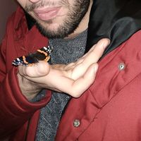 Fotos de Dems  Abdelkader