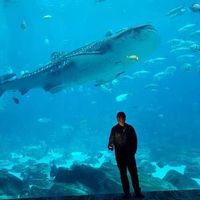 Franklin Zhunio Iñiguez's Photo