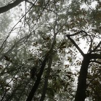 Photos de Joris Vanbinnebeek