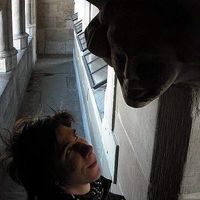 Timothé Caron的照片