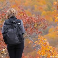 Rachael Silverstein的照片