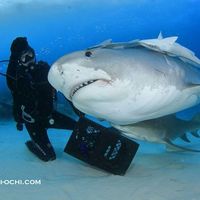 Connor Cassidy's Photo