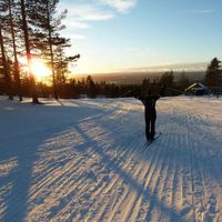 Nina Reimann's Photo