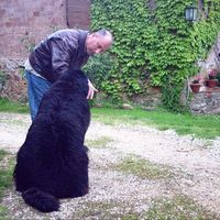 Kenneth Nichols's Photo