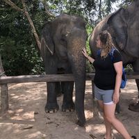 Koral Guess的照片