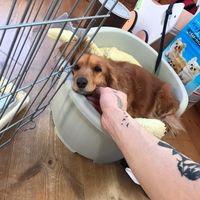 Kaito Otomo的照片