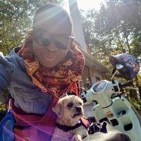 Photos de Symaum 感謝