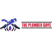 The Plumber Guys's Photo