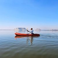 Mahmoud Mosaad's Photo