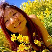 Connie Zhang的照片