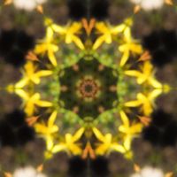 Антон Кирков's Photo