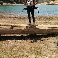 Othman Amer的照片