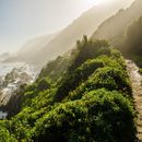 The Garden Route 🚗🥾⛰️🇿🇦的照片