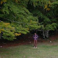 Lorenzo Quarta's Photo