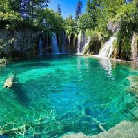 Eliza Pjetri's Photo