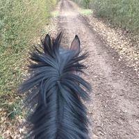 Yacine Copakaba's Photo