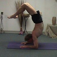 Rod Tielemans的照片