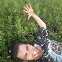 Abbas Hashlamoun的照片