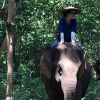 Misaki Tsuno's Photo