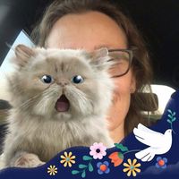 Tine Mogensen的照片