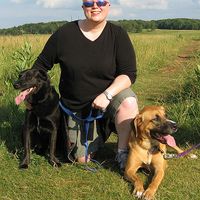 Photos de Laura Nickola