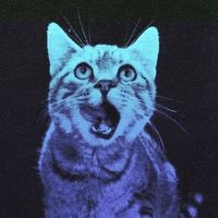 Mehdi Boudra's Photo