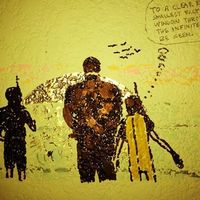 Voltaire Cat's Photo