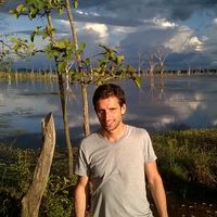 Фотографии пользователя Laurent Perrin