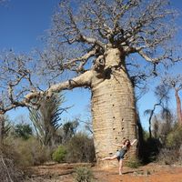 Leo Revillot's Photo