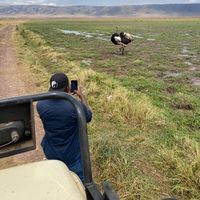 David  William's Photo