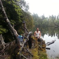 Fotos de Phil Wallace