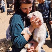 Benedetta Castellaro's Photo