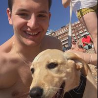 Nikola Lukic的照片