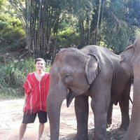 Ethan Simmons的照片