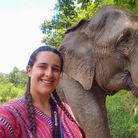 Ekiñe Miralles的照片