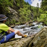 Gerhard Pilz's Photo