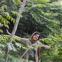 sima naseri的照片