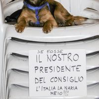 Ruben Venturini的照片