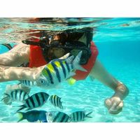 Gerrard Ding Yuan's Photo