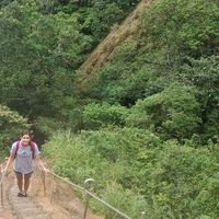 Fotos de Pernelle Picat