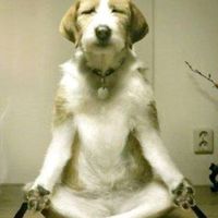 Mukesh Gupta的照片