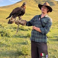 Hamish Scott的照片