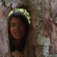 christine moracchini's Photo