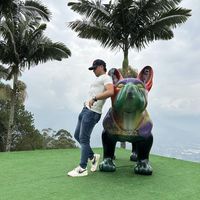 Richard Nael的照片