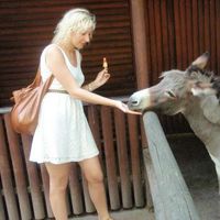 Anna Lembas的照片