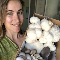 Allison Dunbar的照片